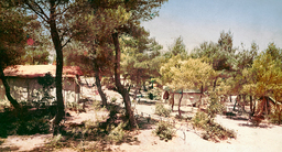 Kinderland Παιδική Κατασκήνωση