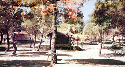 Kinderland Παιδική Κατασκήνωση