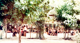 Kinderland Παιδική Κατασκήνωση