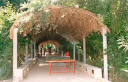 Kinderland Παιδική Κατασκήνωση