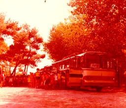 Kinderland Παιδική Κατασκήνωση