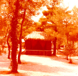 Kinderland Παιδική Κατασκήνωση